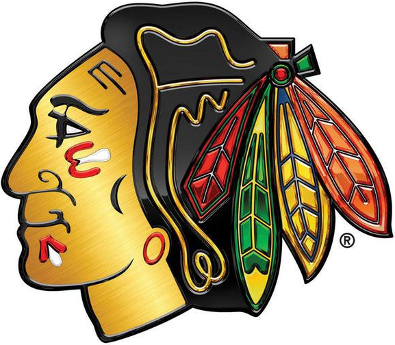 Chicago Blackhawks 2013 14 Special Event Logo iron on paper